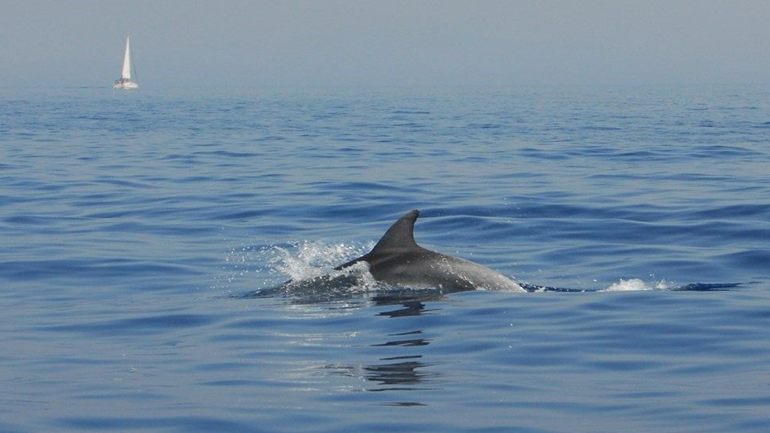 Φύση ελληνική