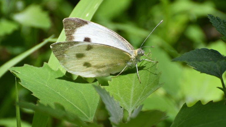 Ελλάδα-Φύση/ Τοπία
