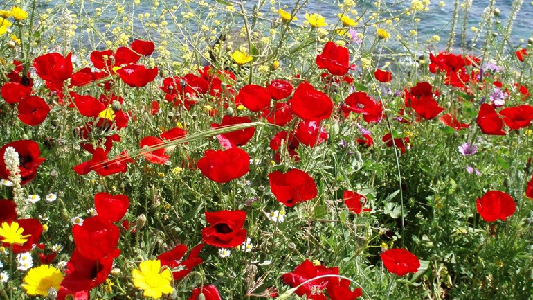 Γύρω από το νερό