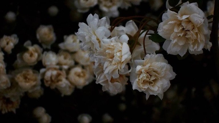 Εαρινά Σημεία