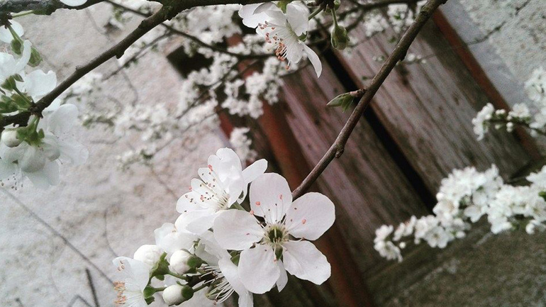 Ελλάδα-Φύση/Τοπία