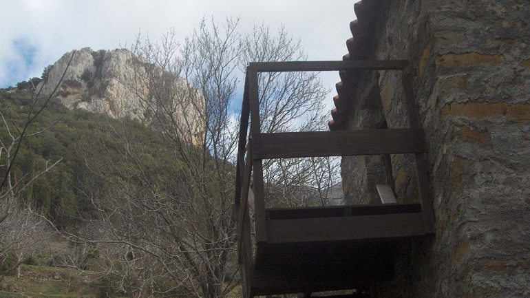 Κατασκευή από έντομα-Σμηνουργία-Συμπεριφορά γατών