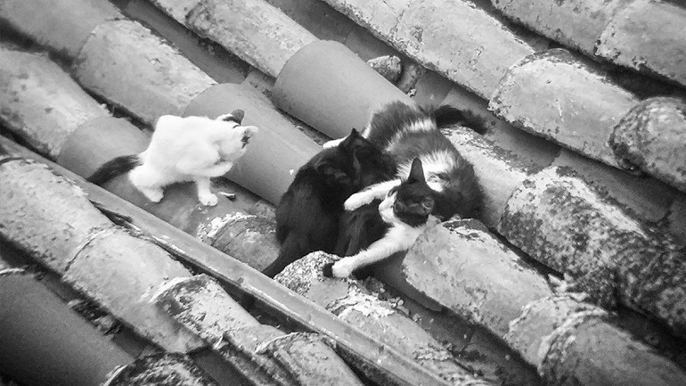 Ελλαδα-Πολη