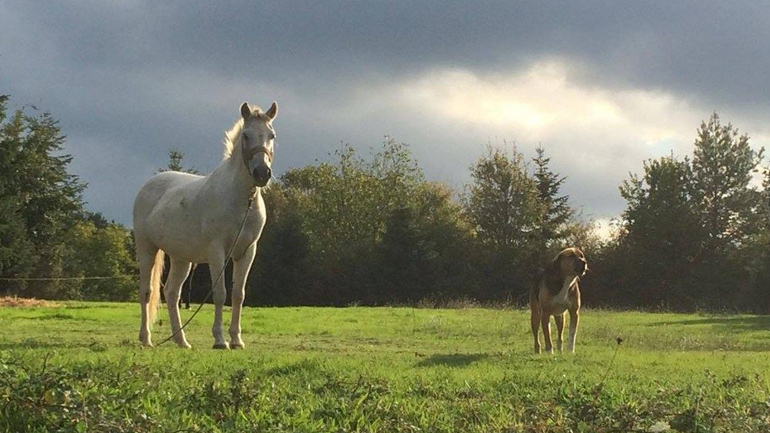 “The Voice of Silence”