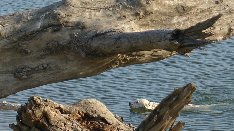 Φύση – Τοπία