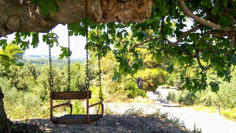 Καλοκαίρι Αθήνα – Εύβοια. Eλλάδα – Φύση / Τοπία