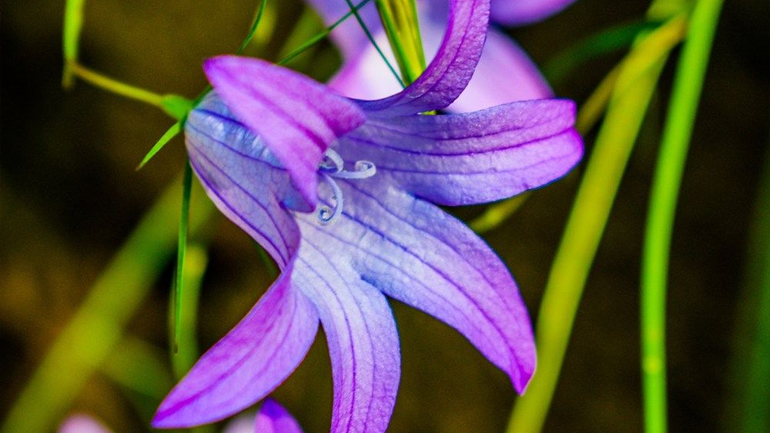 Ελλάδα-Φύση/Τοπία