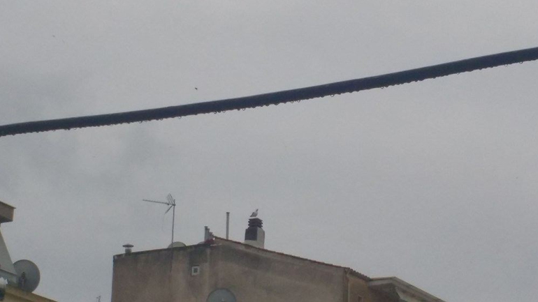 Καλοκαιρινή βροχούλα