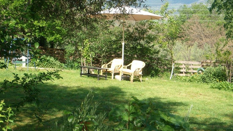 Λίγο από το πράσινο του κόσμου