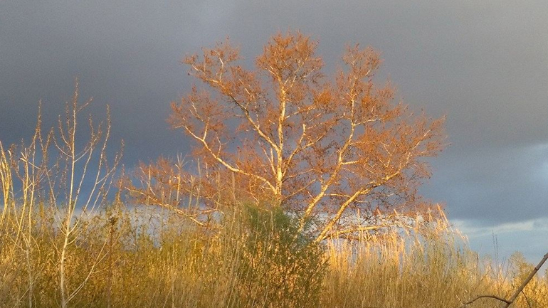 ΠΡΙΝ ΤΗΝ ΚΑΤΑΙΓΙΔΑ