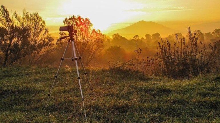 Ομορφιά στην απλότητα