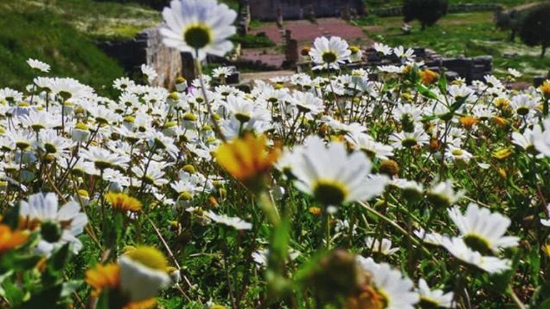 Φύση και ελληνικά τοπία