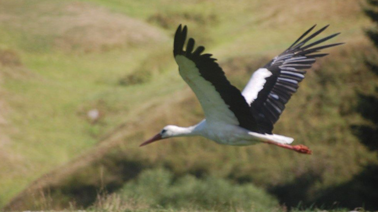 Φύση / Τοπία