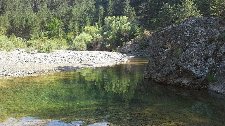 Περιβόλι Γρεβενών