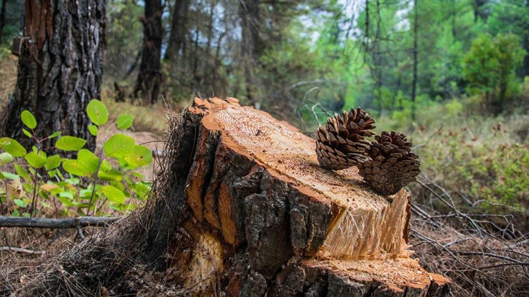 Ελλάδα- Φύση/Τοπία