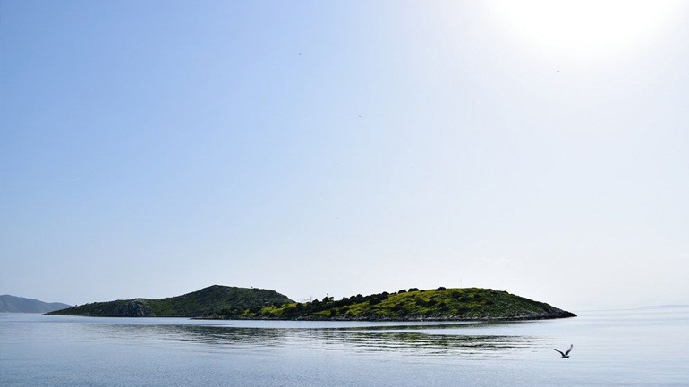 «Μεγαλώνοντας πλαΪ στο κύμα»