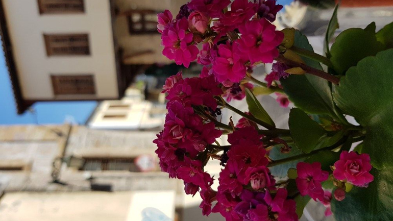 ΚΑΠΟΥ ΣΤΗΝ ΠΟΛΗ