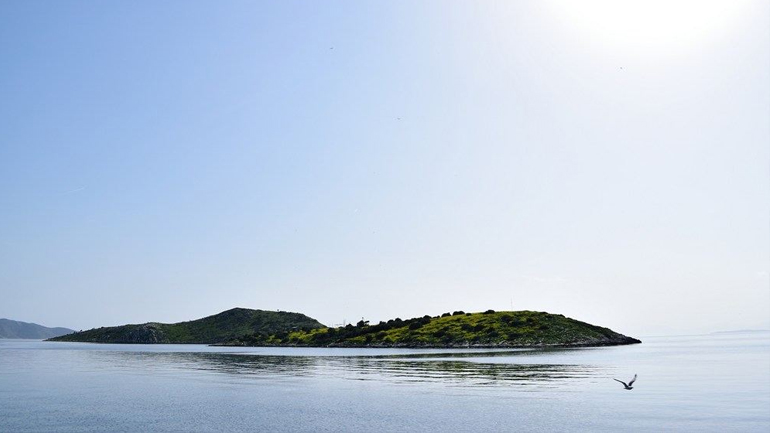 Μεγαλώνοντας πλάι στο κύμα