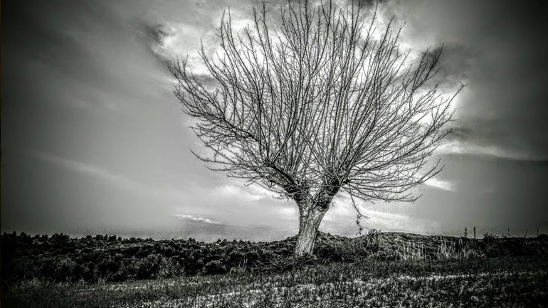 Αγγίζοντας τον ουρανό