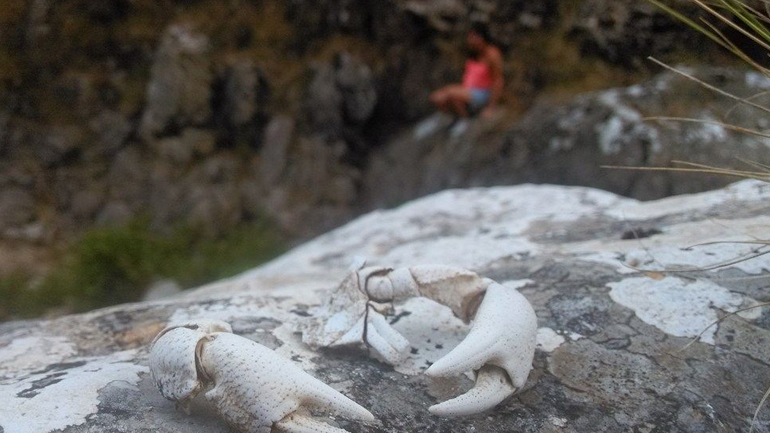 φωτογραφιες απο ερασιτεχνη χωρις καμερα