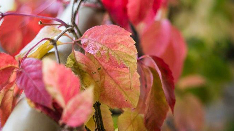 Ελλάδα – Φύση / Τοπία