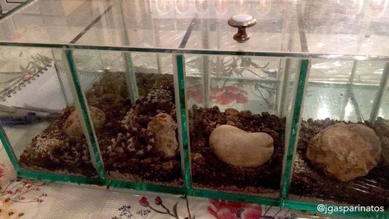 Ελλάδα άνθρωπος &street view