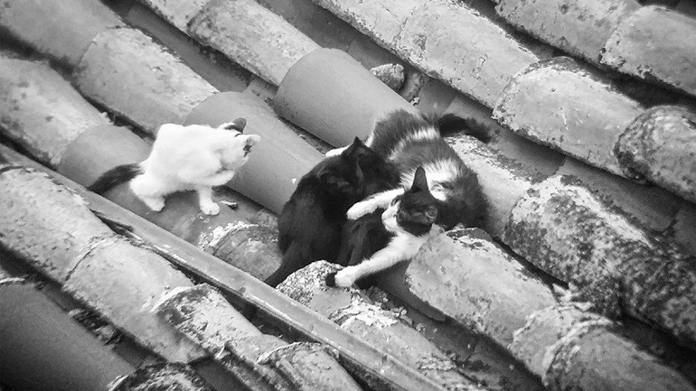 Φωτογραφίες για τον διαγωνισμο!