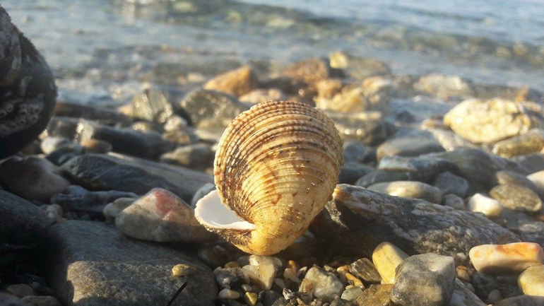 Μια βόλτα στην παραλία