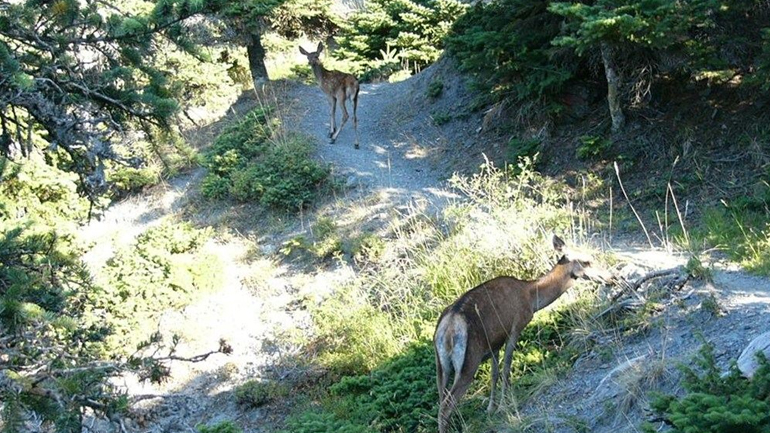 το αγγιγμα της φυσης….