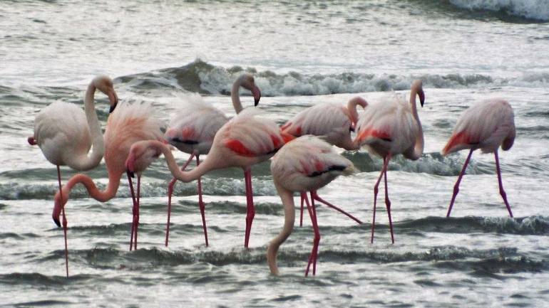 Η ομορφιά της φύσης