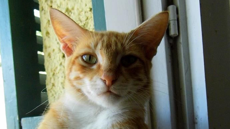 το αγγιγμα της φυσης….