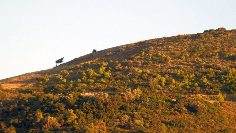 Τοπικές ομορφιές της Εύβοιας