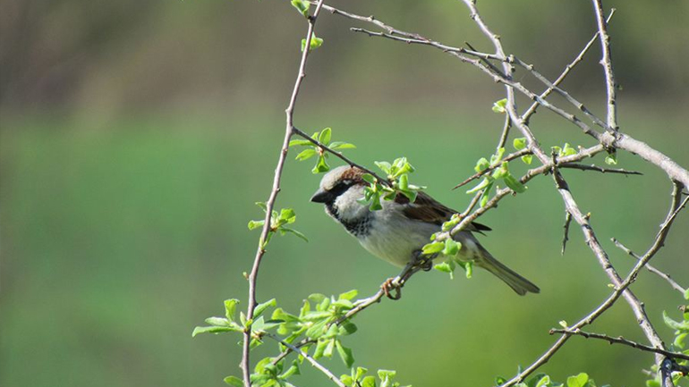 Ελλάδα – Φύση / Τοπία