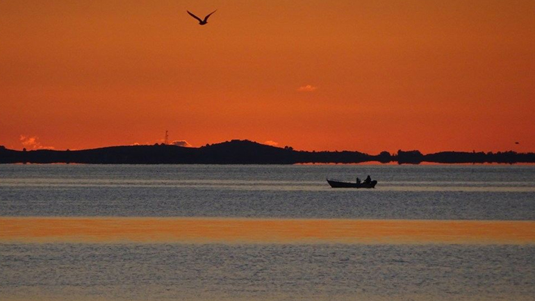 Φύση / Τοπία – Άνθρωπος & Street view