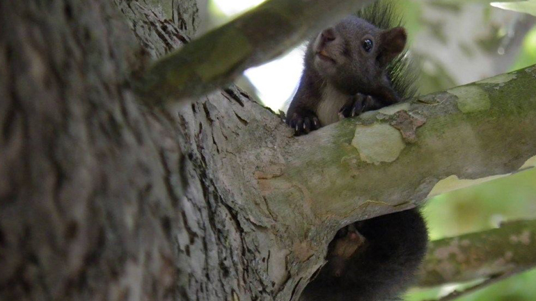 Ελλάδα: φύση και πόλη