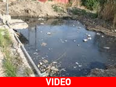 O Δήμαρχος Ραφήνας για το πρόβλημα με τα βοθρολύματα