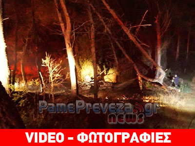 Φωτιά στο δάσος στο Μονολίθι Πρέβεζας