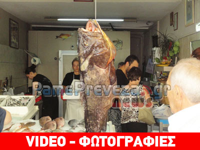 Πρέβεζα: Μεζές 20 κιλών