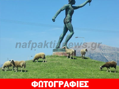 Τετράποδα χορτοκοπτικά εν δράσει Τετράποδα χορτοκοπτικά εν δράσει