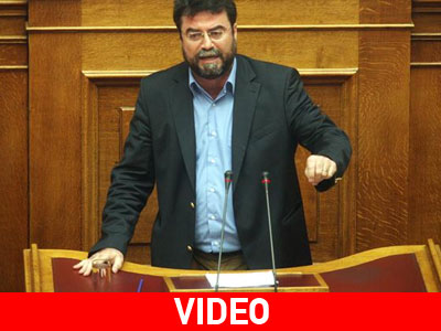 «Η Χρυσή Αυγή είναι μια ναζιστικού τύπου οργάνωση»