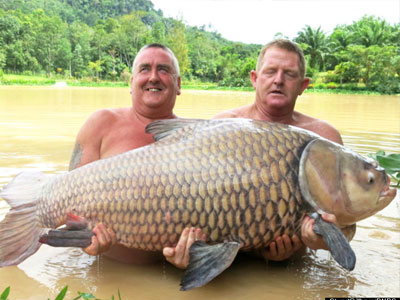 Αυτό το ψάρι είναι ασήκωτο! Αυτό το ψάρι είναι ασήκωτο!