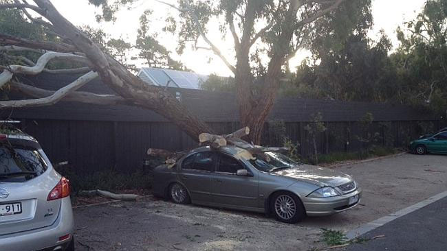 Η ταχύτητα των ανέμων στη Βικτώρια ξεπέρασε χτες τα 100 χλμ/ την ώρα, προκαλώντας πτώσεις δέντρων σε σπίτια και αυτοκίνητα