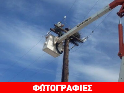 Λαμία: Έφτιαξαν καινούργια φωλιά στους πελαργούς, αλλά αυτοί το σκέφτονται…