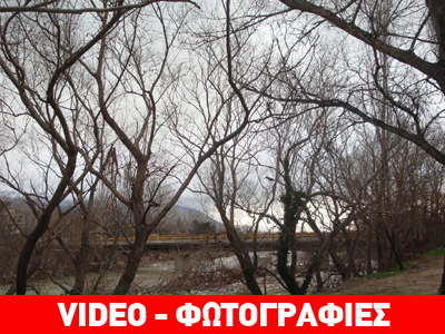 Επιδρομές σε πάρκα της Ξάνθης για καυσόξυλα