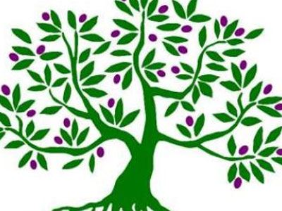 Ξεκινά η ανοιχτή συνδιάσκεψη για την «Ελιά»