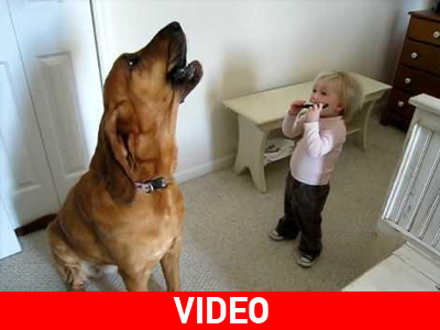 Ένα αχτύπητο ντουέτο!