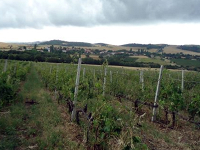 Εκτεταμένες ζημιές στα Γρεβενά από το χαλάζι