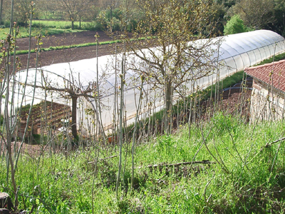 Βρέθηκε απανθρακωμένος άνδρας μέσα σε θερμοκήπιο