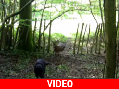 Δεν κατάλαβε από πού του ήρθε