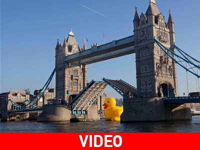 Ένα τεράστιο παπί στον Τάμεση! Ένα τεράστιο παπί στον Τάμεση!